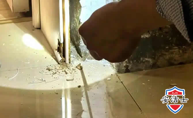 海宁房屋建筑防治白蚁