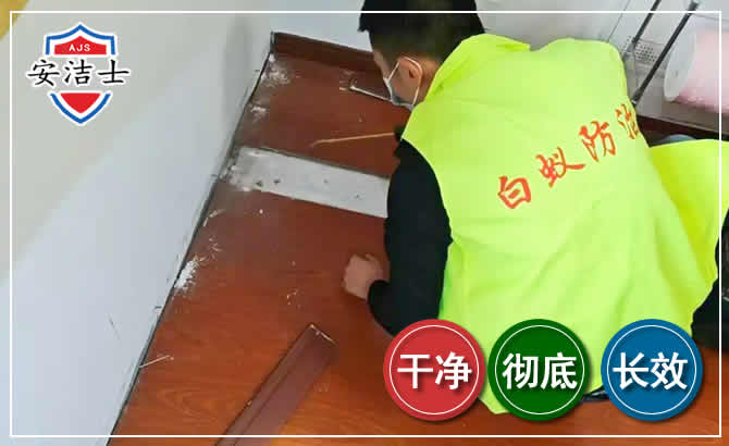 海宁除四害现场